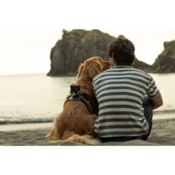 comprar gopro 12 angola