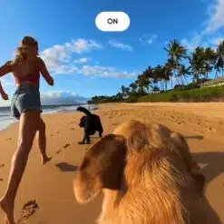 Câmera Insta360 X4 360° 8K - Image 12