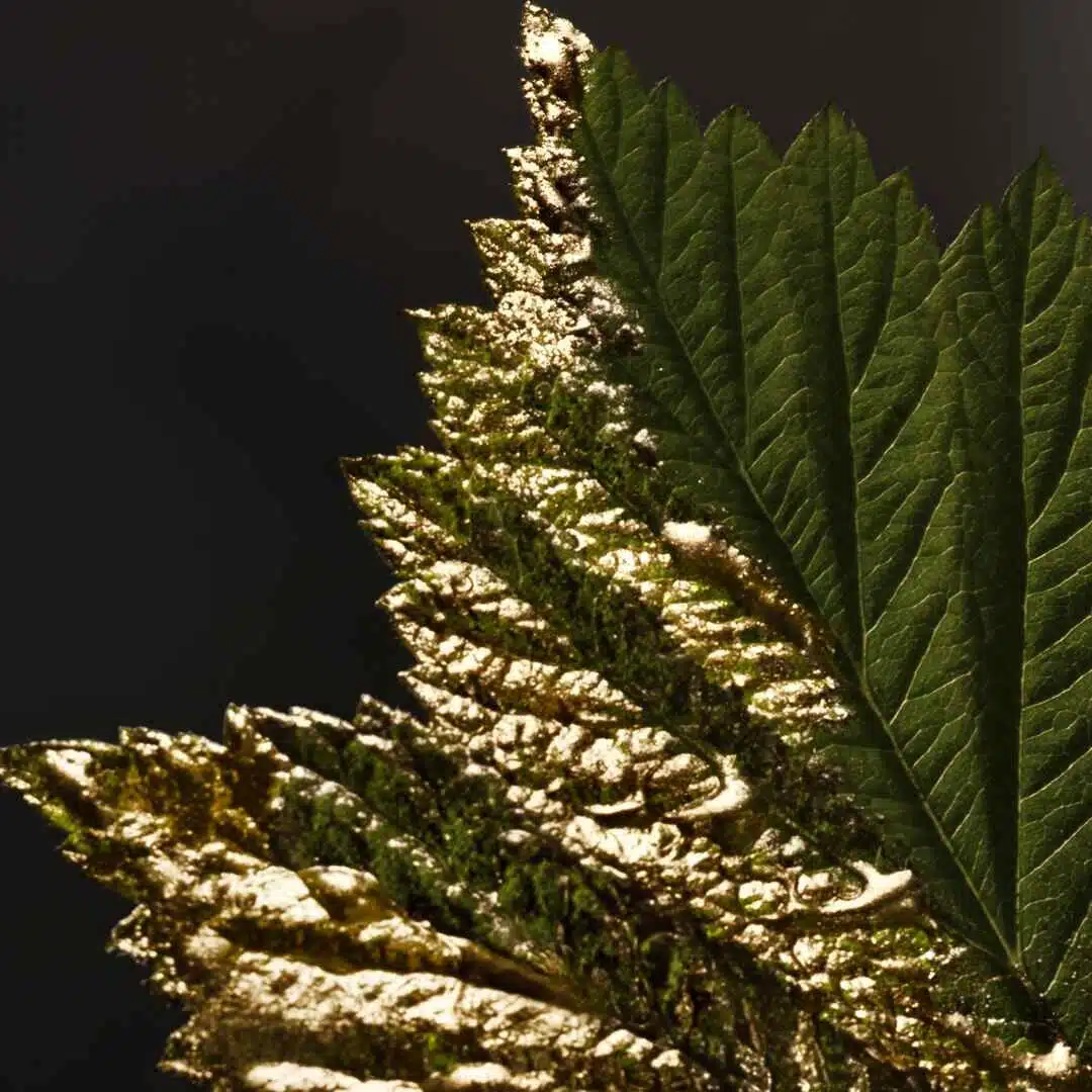 perfumaria fidalga luanda preços