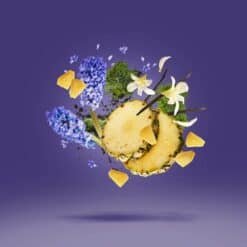 Accento Eau de Parfum 100 ml