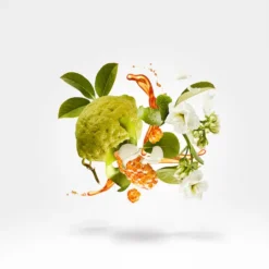 Xerjoff Naxos Eau de Parfum 100ml (Original)