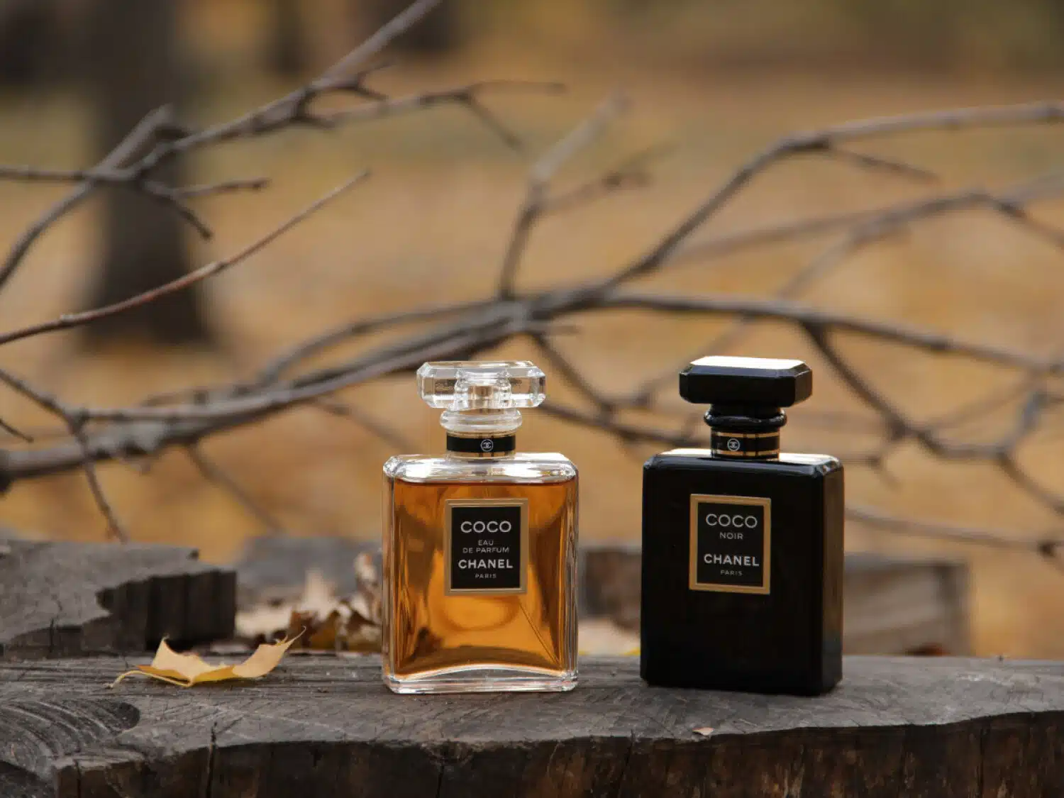 perfumaria de angola