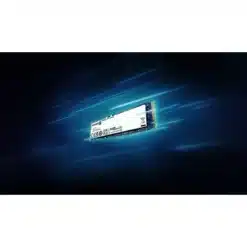 ssd angola