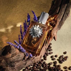 Dolce & Gabbana Devotion Man Eau de Parfum 100ml (Original) - Imagem 3