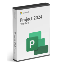 project 2024 standard